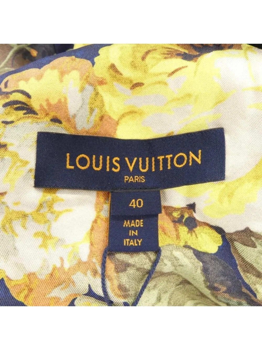 Louis Vuitton brand louis